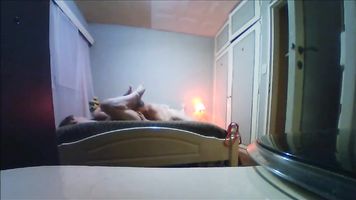 besos en mi cola